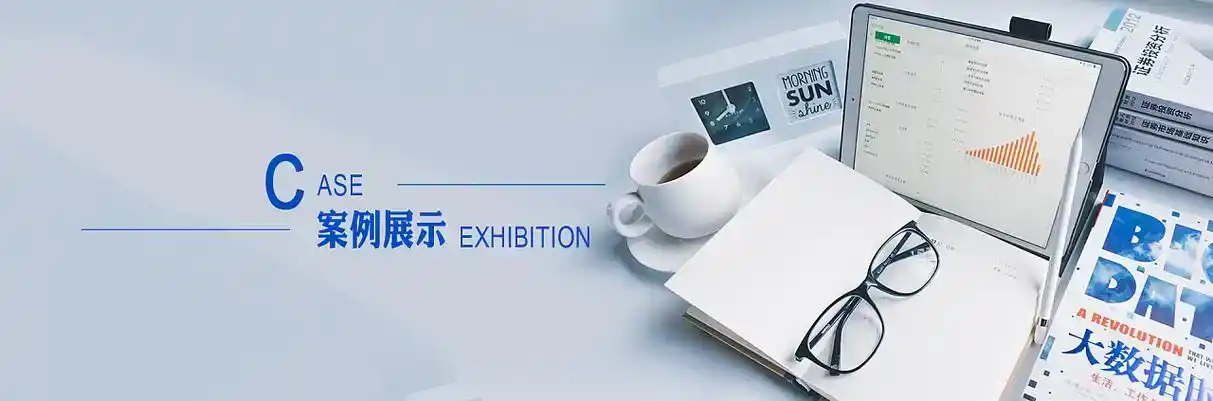 精河县软件开发